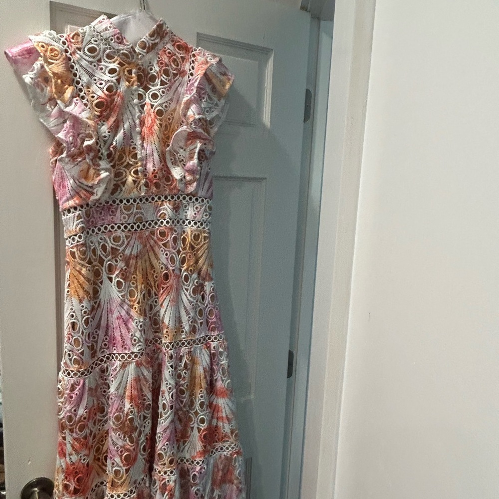Colorful Lace Dress with Ruffle Sleeves
